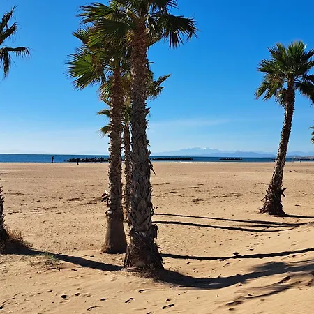 Appartement Joli T2 *